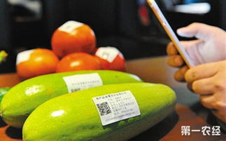 记录前世今生 北京农产品身份证，追溯保障安心消费