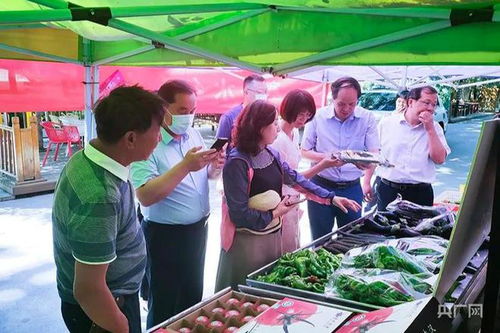 农业农村部调研组赴高新区新市区调研农产品质量安全工作
