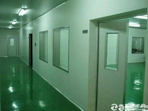 龙岗同乐稀缺独门独院厂房8000平米亮相，引领装饰工程行业新标杆