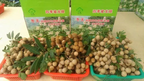 肇庆被确定为国家农产品质量安全市创建单位，跃居全省第三