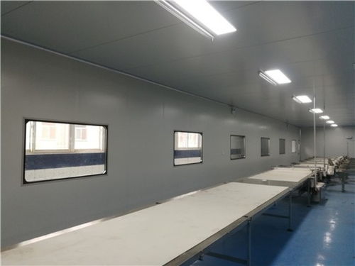 山东济南食品厂净化车间净化工程与装饰装修施工全解析
